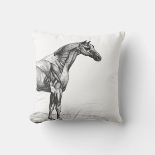 Retro horse muscle anatomy picture cushion