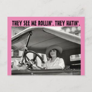 RETRO HOUSEWIFE FUNNY "THEY HATIN' Postcards