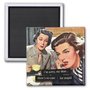 Retro Housewife "There's No Cure for Stupid" Magnet