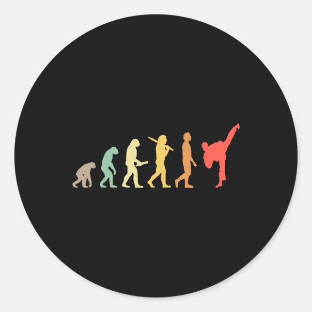 Retro Karate Evolution Gift For Karateka  Classic Round Sticker (Front)