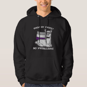 Retro Llama Alpaca Bisexual Lesbian Gay Pride Lgbt Hoodie