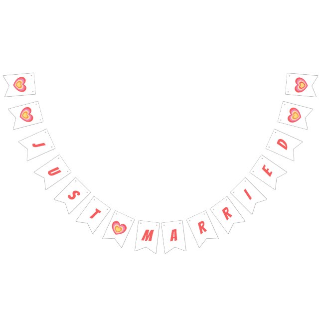 Retro Minimalist Just Married Newlyweds Bunting (All)