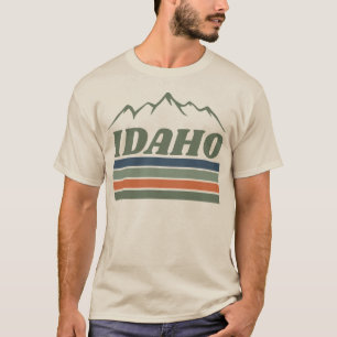 Retro Muted State Pride Mountain Shirt