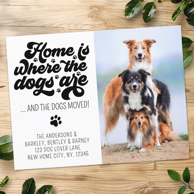 Retro New Address Pet Photo Weve Moved Dog Moving Announcement Postcard (Creator Uploaded)