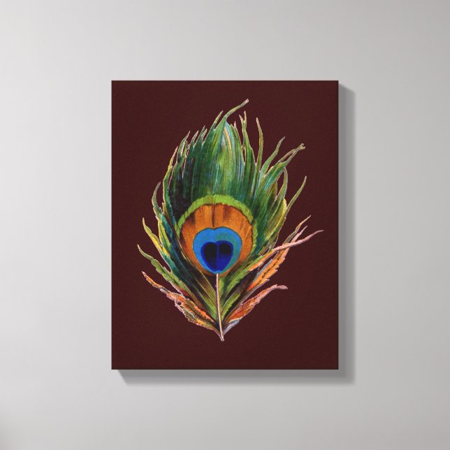 Retro Peacock Feather Canvas Print (Front)