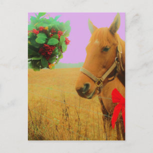 Retro pink sky Christmas Horse Holiday Postcard