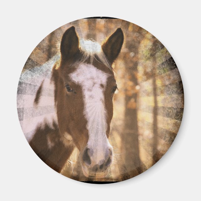 Retro Pinto Magnet (Front)