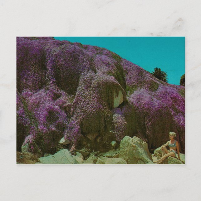 Retro Postcard (Front)