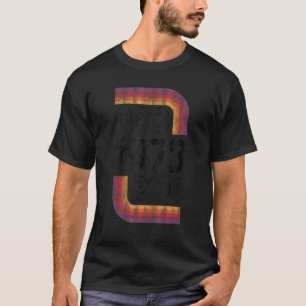 Retro Pro Roe 1973 Pro Choice Women's Rights Roe T-Shirt