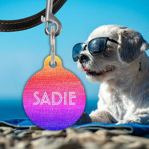 Retro Rainbow Dog or Cat Name & Information Pet Tag
