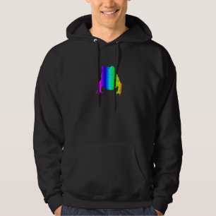 Retro Rainbow Frog Silhouette Graphic Hoodie