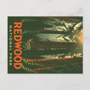 Retro Redwood Forest Deer Postcard