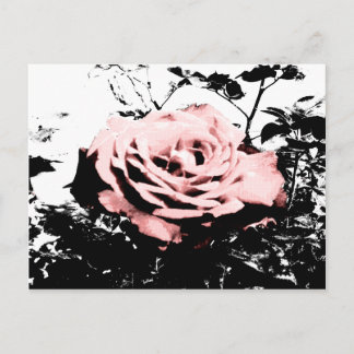 Retro Rose Postcard