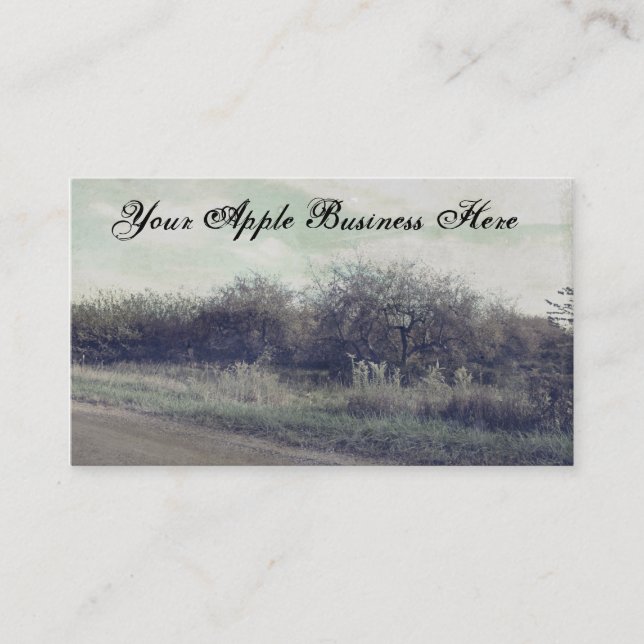 Retro Rustic Spring Apples Trees Beautiful Orchard Business Card (Front)