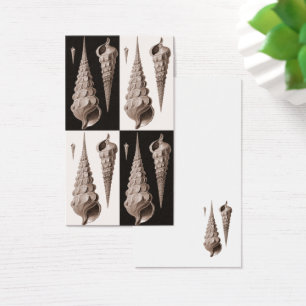 Retro Seashells Profile Card