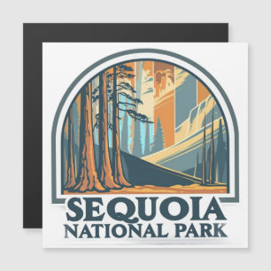 retro Sequoia National Park Giant Sequoia Trees