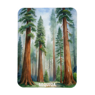 Retro Sequoia National Park Magnet