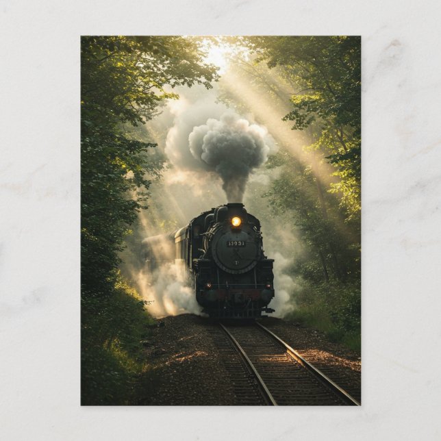 Retro Steam Train Forest Summer Sunlight Postcard (Front)