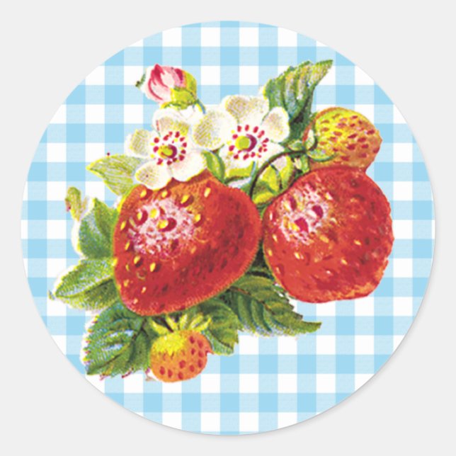 Retro Strawberry Classic Round Sticker (Front)