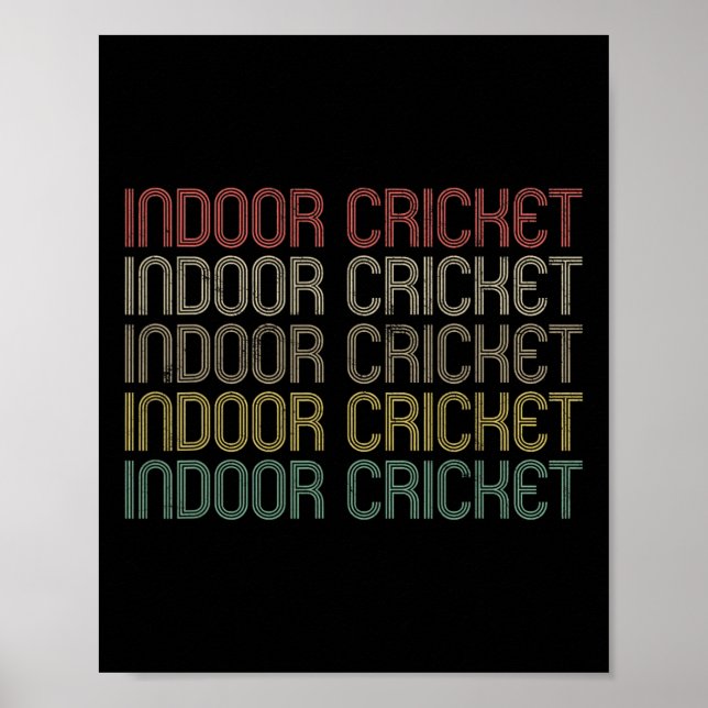 Retro Style Indoor Cricket  Poster (Front)