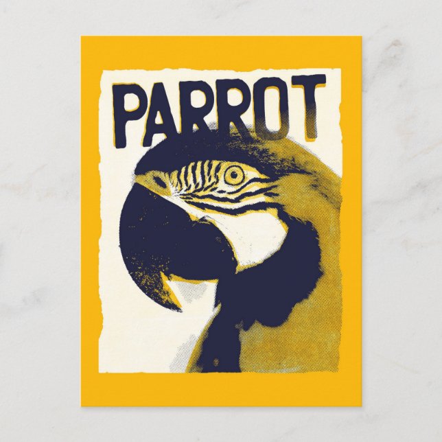 Retro Style Parrot Postcard (Front)