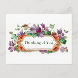 Retro Style Thinking of You Vintage Floral Violets Postcard