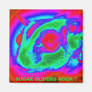Retro Sugar Glider Magnet