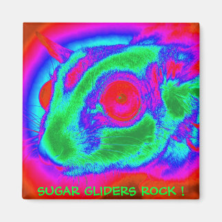 Retro Sugar Glider Magnet