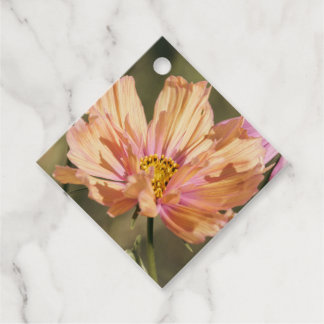 Retro Summer Cosmea Blooms Favour Tags
