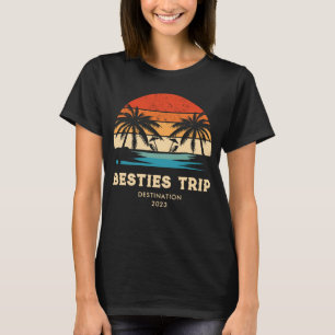 Retro sunset Besties Girls trip Matching T-Shirt