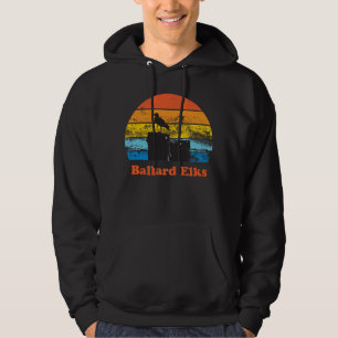 Retro Sunset & Seagull Hoodie