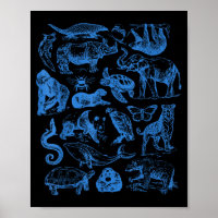 Retro Tattoo Animals Wildlife Nature Conservation