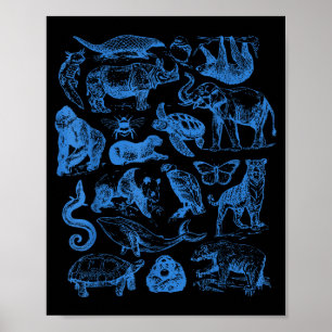 Retro Tattoo Animals Wildlife Nature Conservation Poster
