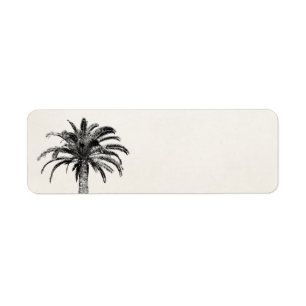 Retro Tropical Island Palm Tree in Black and White
