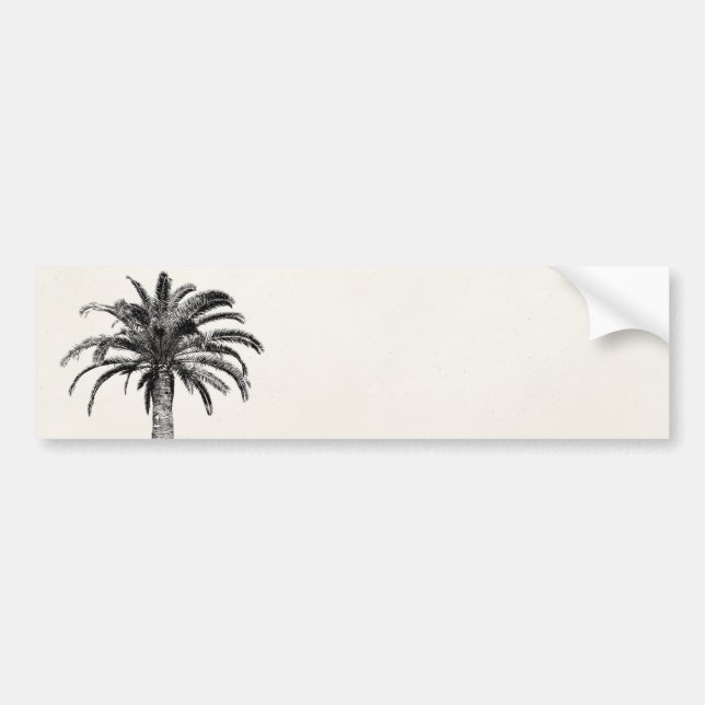 Retro Tropical Island Palm Tree in Black and White Bumper Sticker (Front)