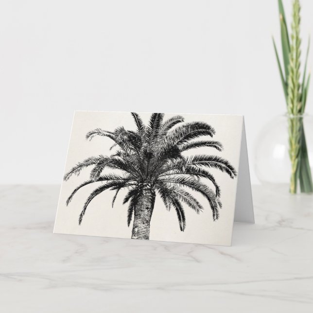 Retro Tropical Island Palm Tree in Black and White Card (Front)