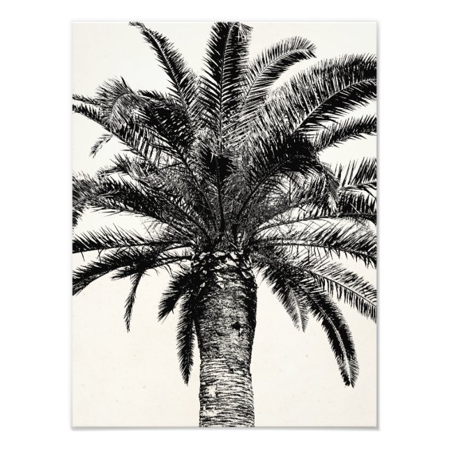 Retro Tropical Island Palm Tree in Black and White Photo Print (Front)