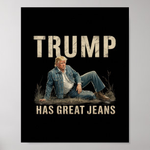 Retro Trump Has Great Jeans Meme  Poster