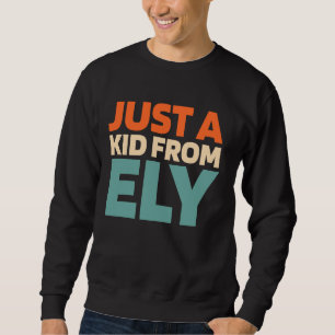 Retro Us City American Usa Just A Kid From Minneso Sweatshirt