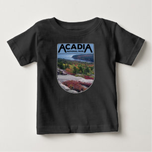Retro Vintage Acadia National Park Maine Island Baby T-Shirt