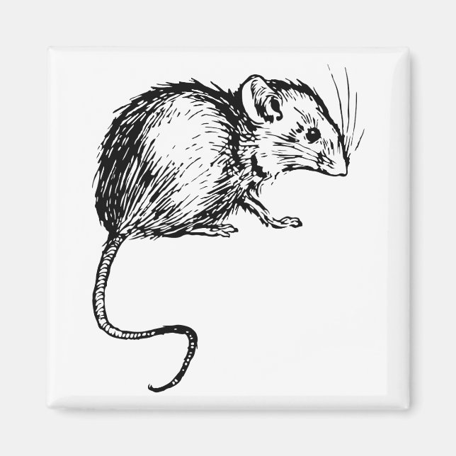 Retro Vintage Black & White Fluffy Mouse Magnet (Front)