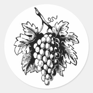 Retro Vintage Black & White Tasty Bunch of Grapes Classic Round Sticker