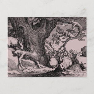 Retro Vintage Bunny Rabbits Postcard