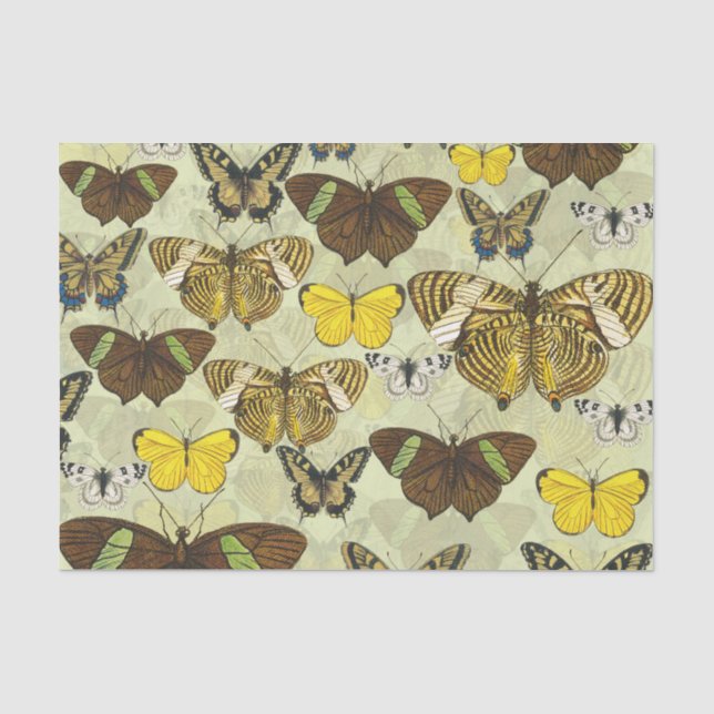 Retro Vintage Butterflies Pattern Tissue Paper (Front)