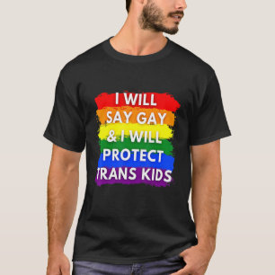 Retro Vintage I Will Say Gay And I Will Protect Tr T-Shirt