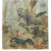 Retro vintage marine biology ocean fish