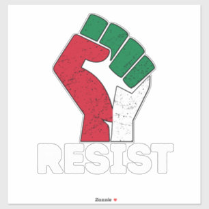 Retro Vintage Resist Palestine fist flag Freedom