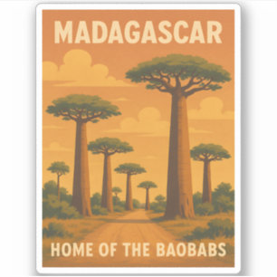 Retro Vintage Travel Madagascar Baobab Tree Sunset
