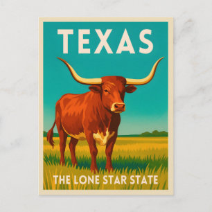 Retro Vintage Travel Texas Longhorn Cattle Postcard
