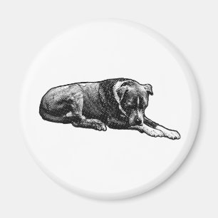 Retro Watch Dog Magnet
